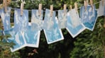 allotment-printing-day-scaled.jpg