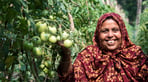 Bangladesh 2022.jpg
