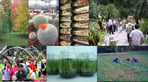 botanic_gardens_conservation_international_cover.jpg
