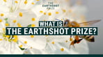 The Earthshot Prize logo