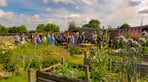 CAG - Community garden support.jpg