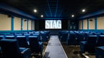 Cinema-StagScreen.JPG