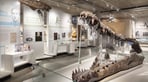Natural Dorset Gallery.jpg