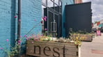 Nest Planters.jpeg