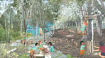 P0261-PR-IL-06ForestSchool (1).jpg