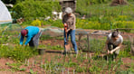 People-planting-Beccy-Strong-scaled.jpg