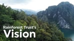 Rainforest Trust UK logo