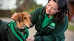 smiling-woodgreen-team-member-with-dog.jpg