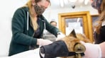 vet story.jpg