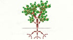 Westminster Foundation for Democracy logo