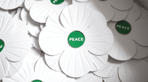 white_poppies_banner_3.png