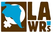 Latin American Women's Rights Service