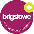Brigstowe and The Peer Partnership