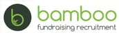 Bamboo Fundraising Recruitment 