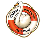 Cuan Wildlife Rescue
