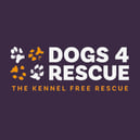 Dogs 4 Rescue