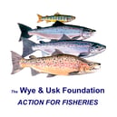 The Wye and Usk Foundation