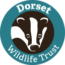Dorset Wildlife Trust