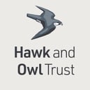 Hawk and Owl Trust