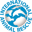 International Animal Rescue 