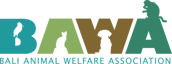 Bali Animal Welfare Association (BAWA)