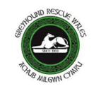 Greyhound Rescue Wales