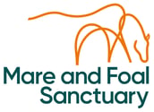 Mare and Foal Sanctuary