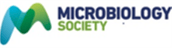 Microbiology Society