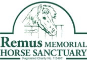 Remus Memorial Horse Sanctuary