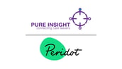 Pure Insight 1628
