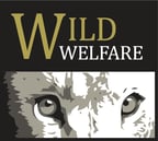 Wild Welfare