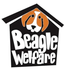 Beagle Welfare