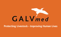 GALVmed logo