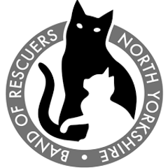 Band of Rescuers North Yorkshire logo