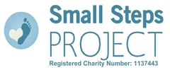 Small Steps Project