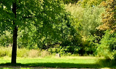 20250809_142112(1)