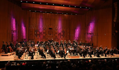 43-Hire-the-Orchestra_Mark-Allan_Resized