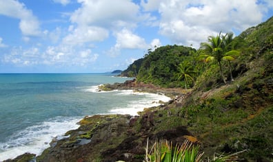 background(2)