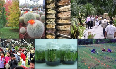botanic_gardens_conservation_international_cover