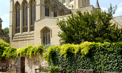 Cathedral from Rose Garden