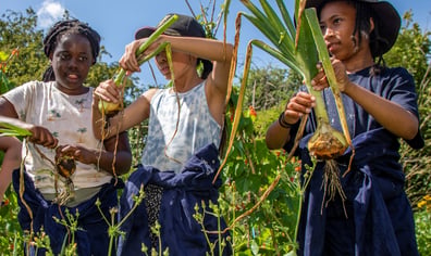 Children with plants crop