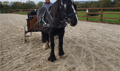 debbie_with_missy_in_outdoor_arena_2020_04_01_03_50_54_pm