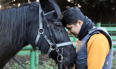 equine_main_sm_2021_10_19_08_09_40_am