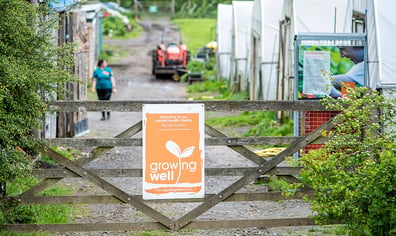 growing_well_charity_jobs_3_2023_09_05_05_05_45_pm