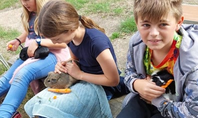 Guinea-Pigs-4-768x576