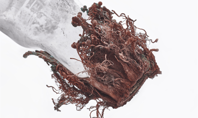 high_res_katrin_spranger_aquatopia_detail_of_water_storage_copper_glass_lime_sca_2019_09_20_09_58_44_am