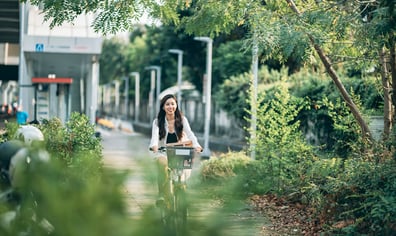 istock_1310839640_jpg_optimal_2024_03_05_09_21_04_am