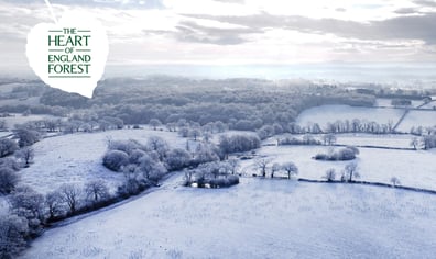 RS8252_Teams Zoom Background Winter Aerial_hpr