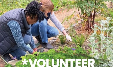 volunteer