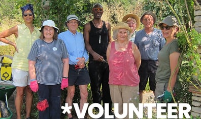 volunteer